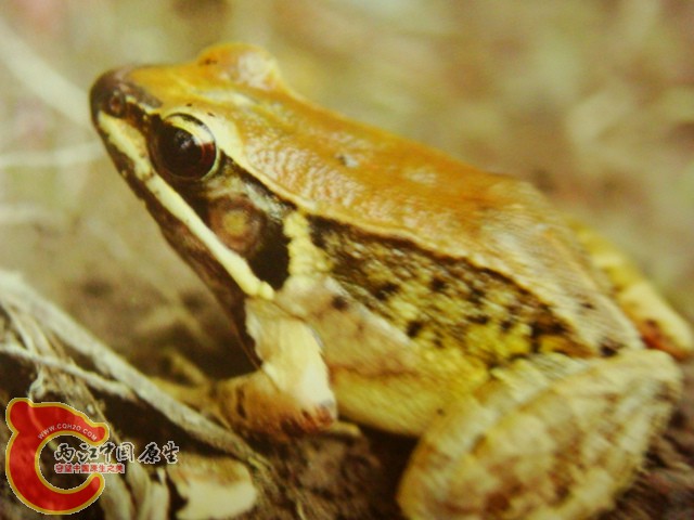 DSC07434.JPG