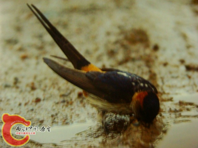 DSC07447.JPG