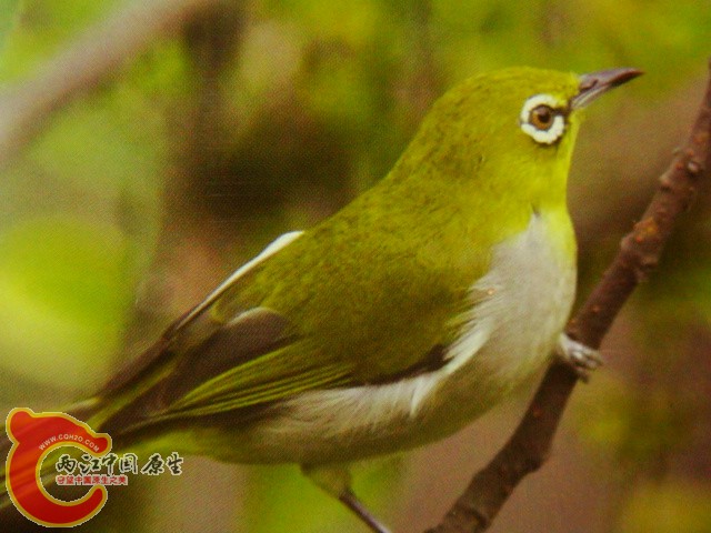 DSC07454.JPG