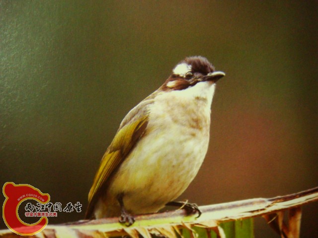 DSC07386.JPG