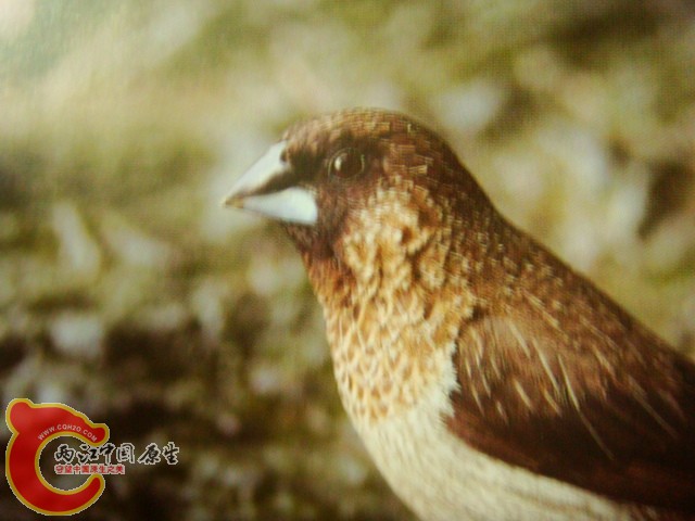 DSC07405.JPG