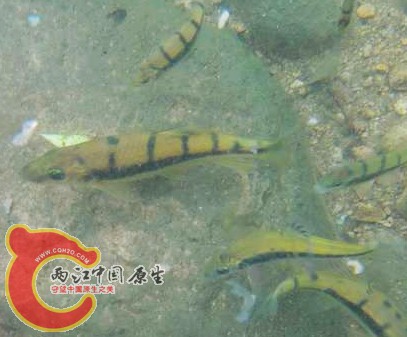 yyyy9_光影_1.jpg