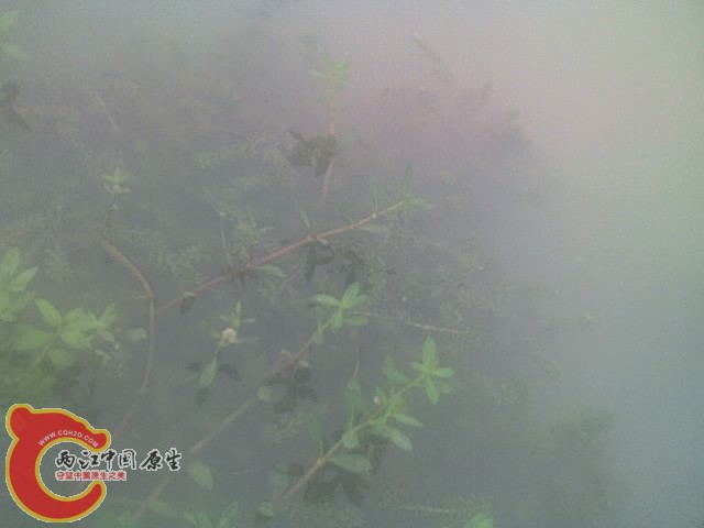 10-07-04_1012.jpg