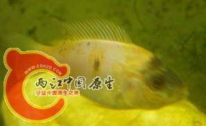 DSC03443.jpg