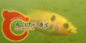 DSC03455.jpg
