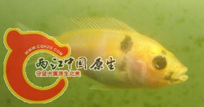 DSC03450.jpg