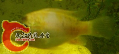 DSC03453.jpg