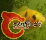 DSC03426.jpg