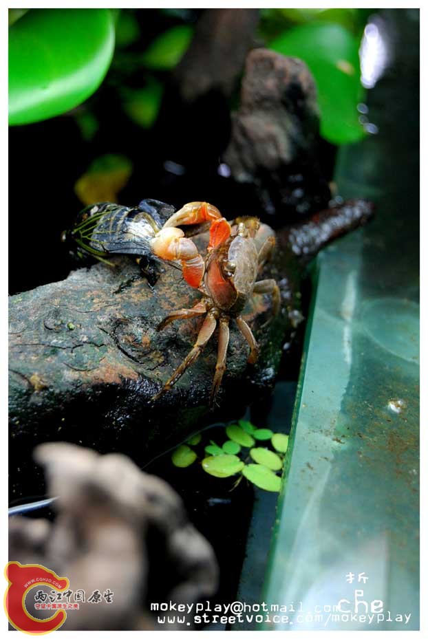 DSC_0040副本.jpg