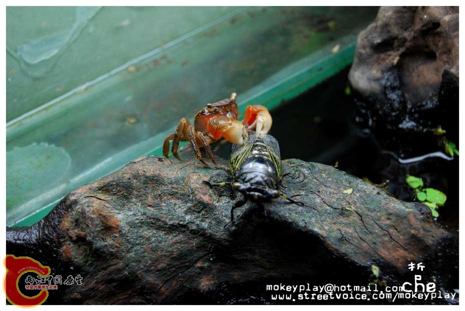 DSC_0030副本.jpg