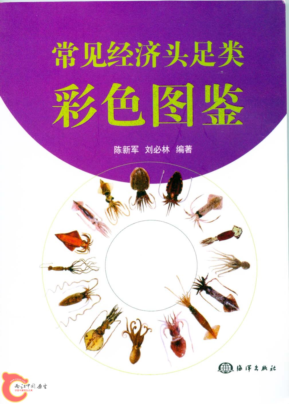 鱼1.jpg