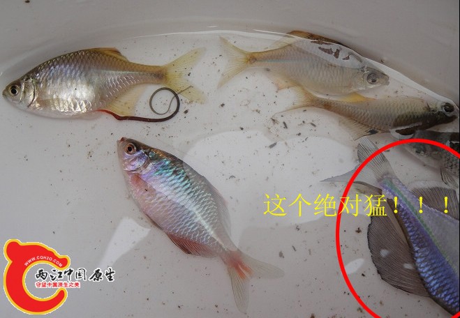 1007071446c321340ce352d4af副本.jpg