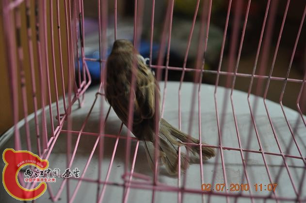DSC_1260.JPG