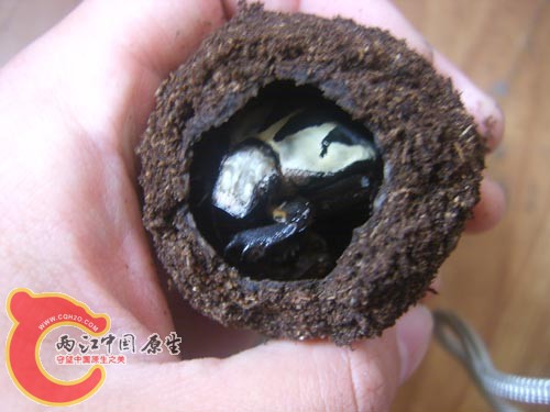 MO母 (3).JPG