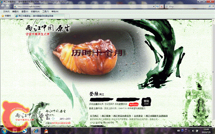 无标题.gif