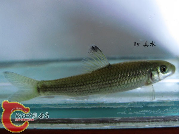 未知.jpg