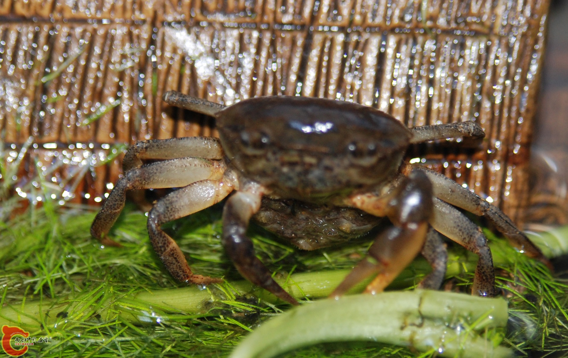 DSC_0392.JPG