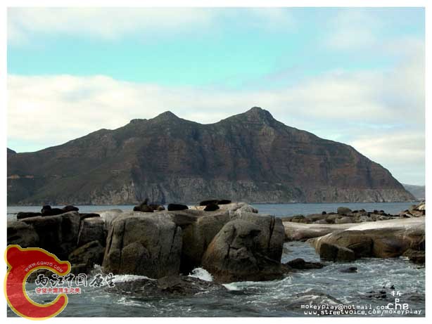 tiantian passport副本.jpg