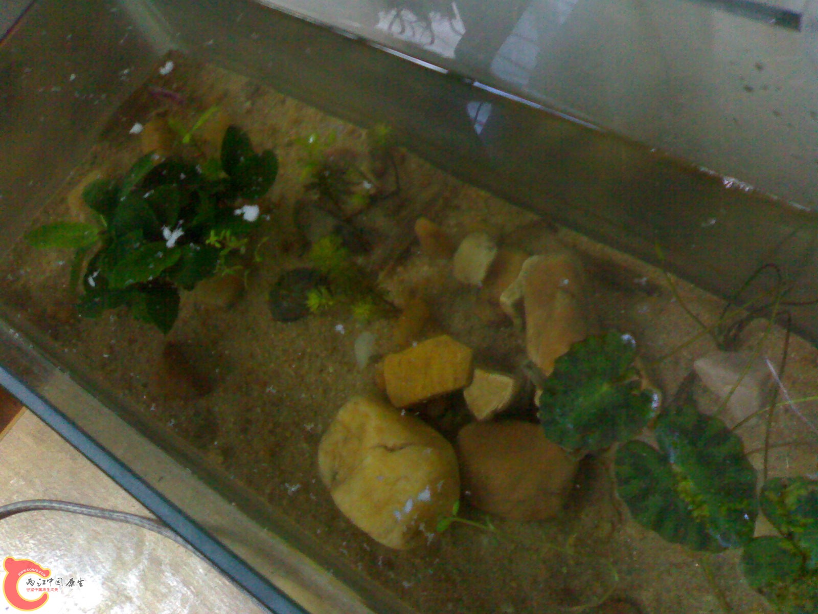 20100422619.jpg