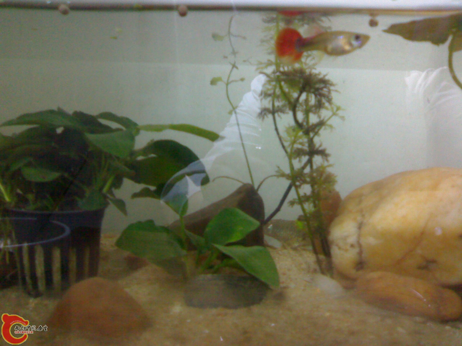 20100428761.jpg