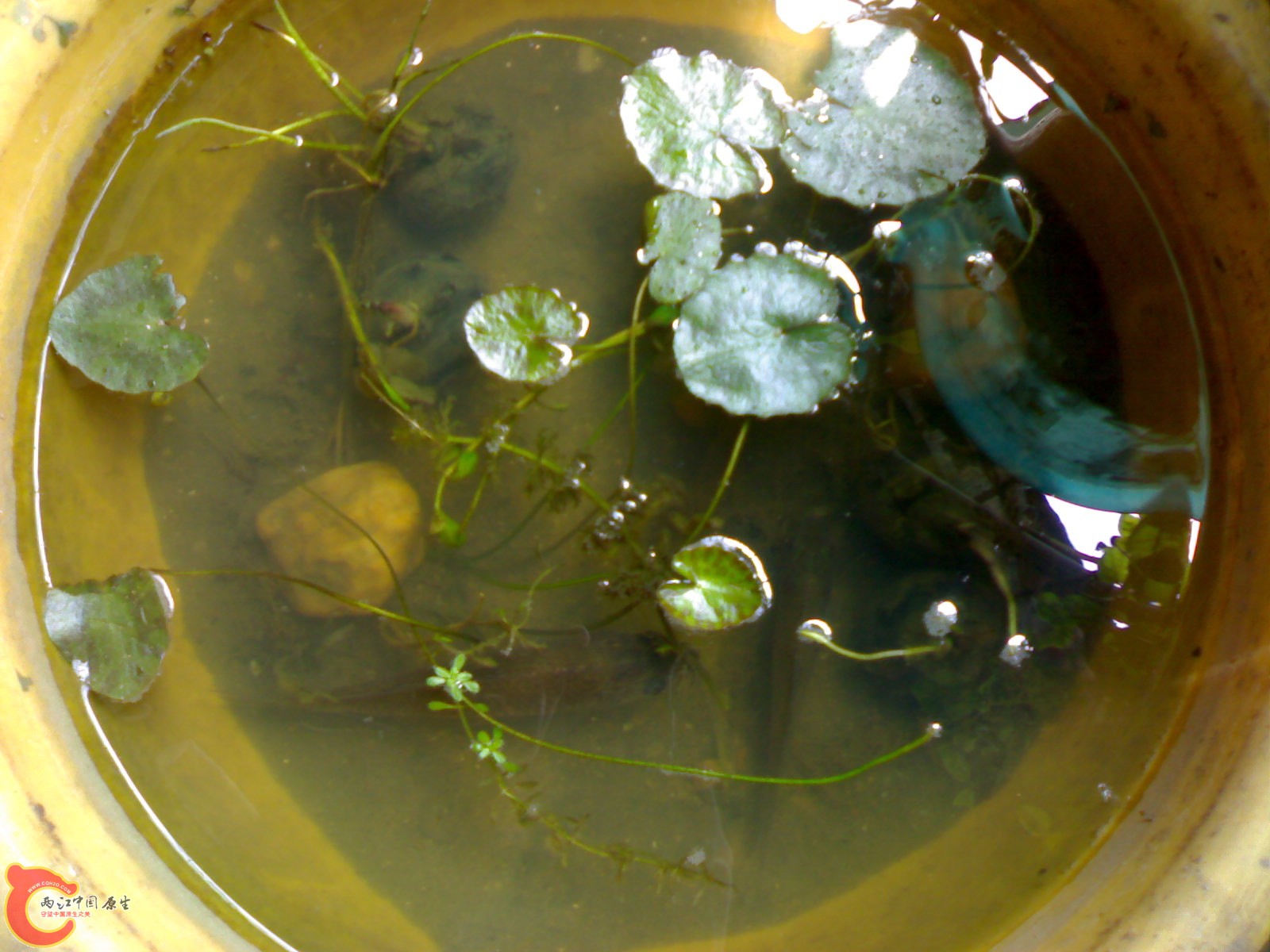 20100428759.jpg