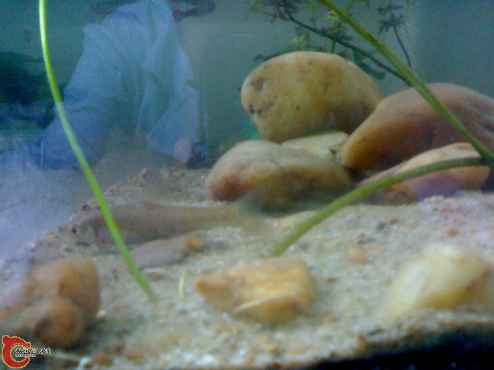 20100428764.jpg