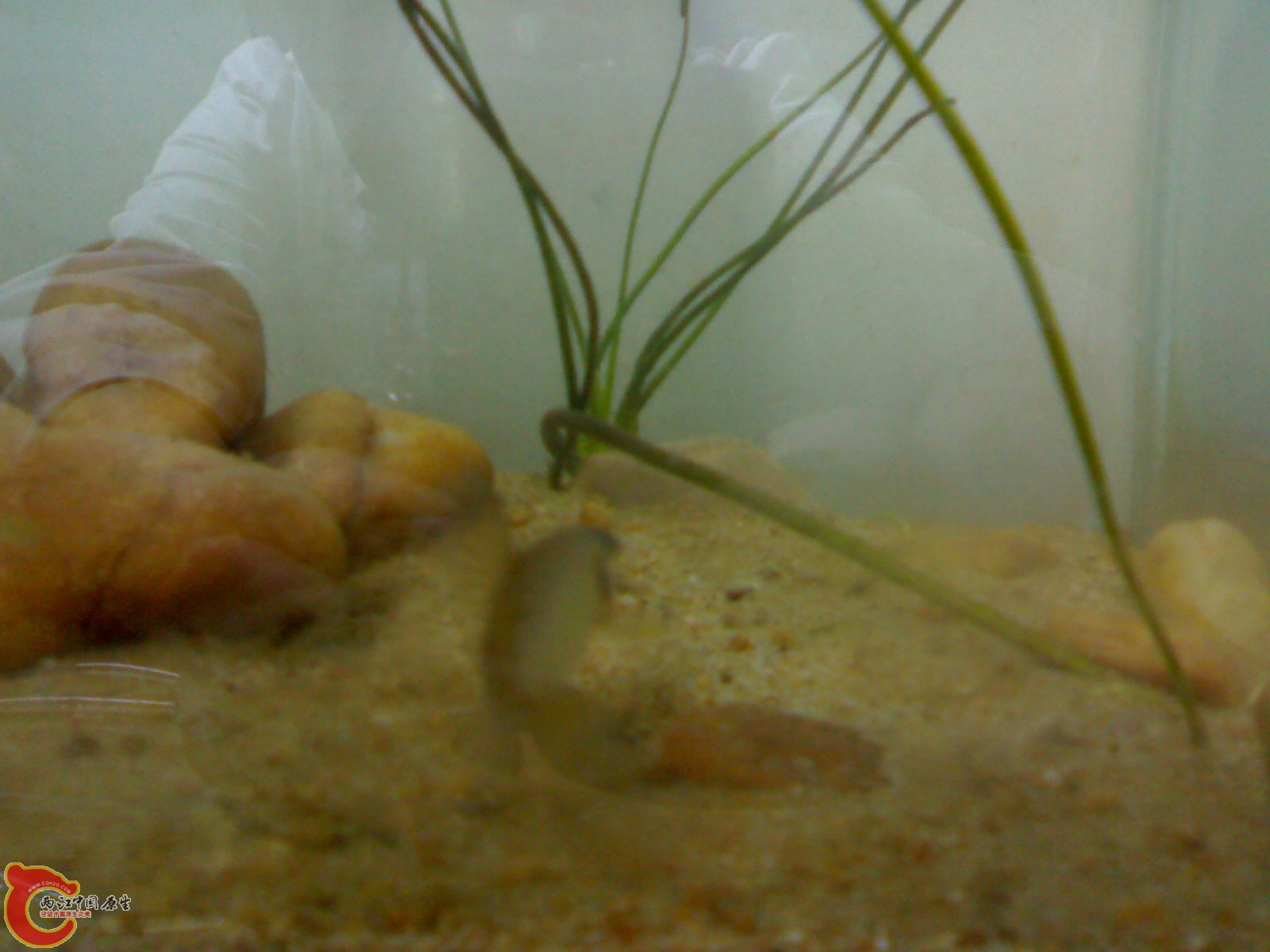 20100428762.jpg