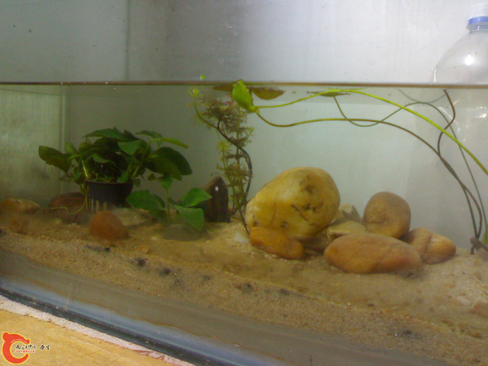 20100428765.jpg
