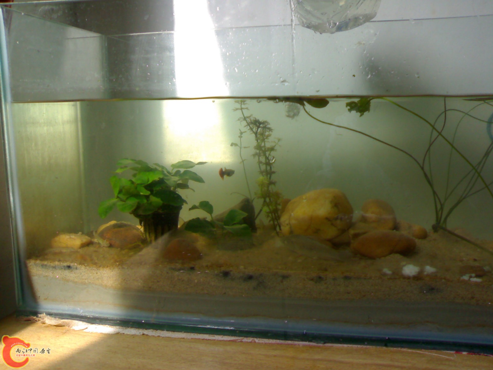 20100430799.jpg