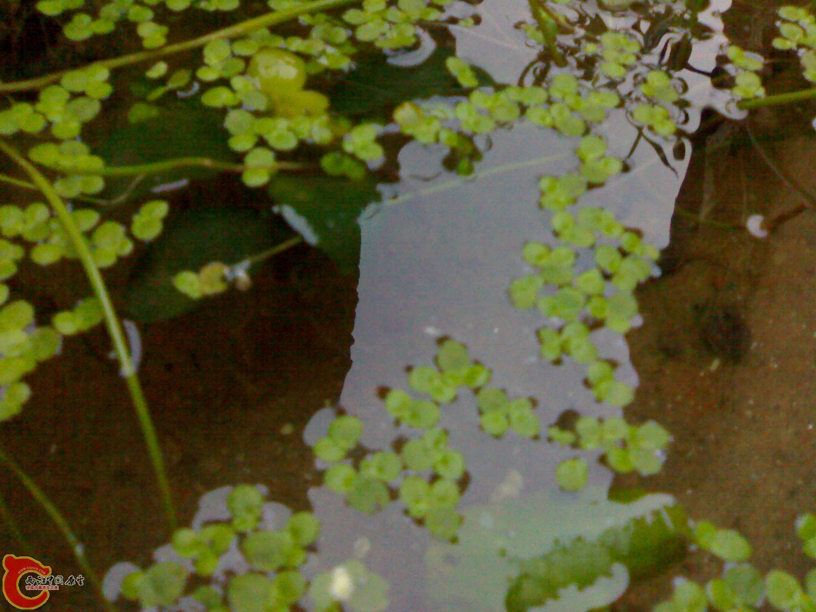 201005231177.jpg
