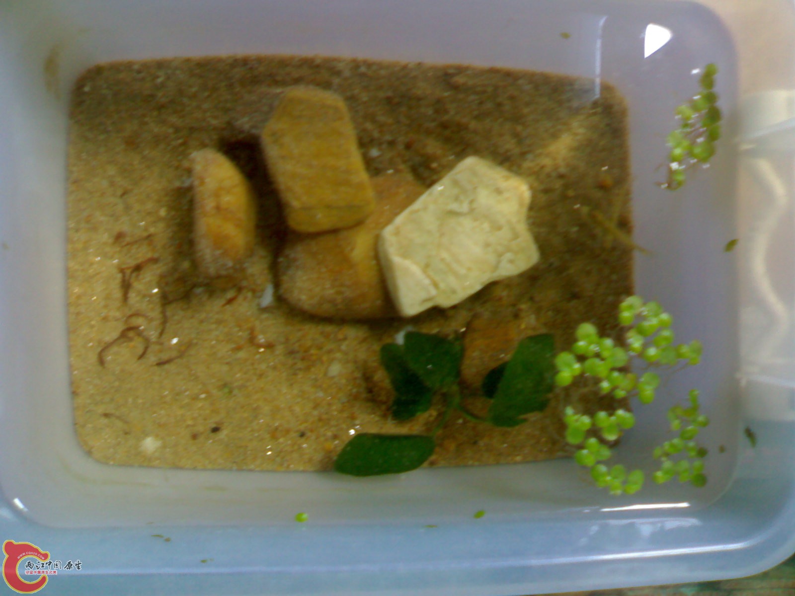 201005261214.jpg