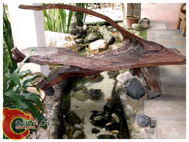 DSCN1529.jpg