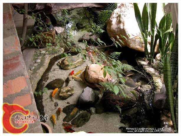 DSCN1530.jpg