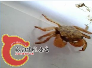 未命名.jpg
