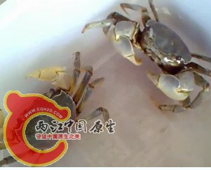 未命名.jpg