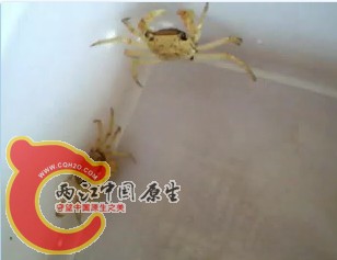 未命名.jpg