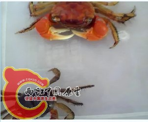 未命名.jpg