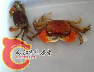 未命名.jpg