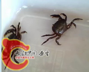 。。。