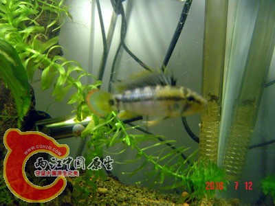 DSC00013_exposure.JPG