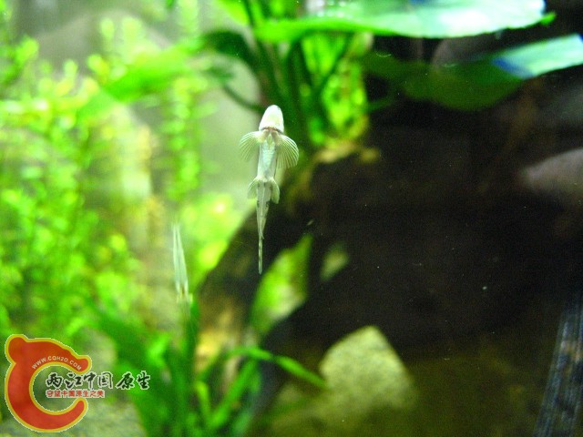 IMG_5367.JPG