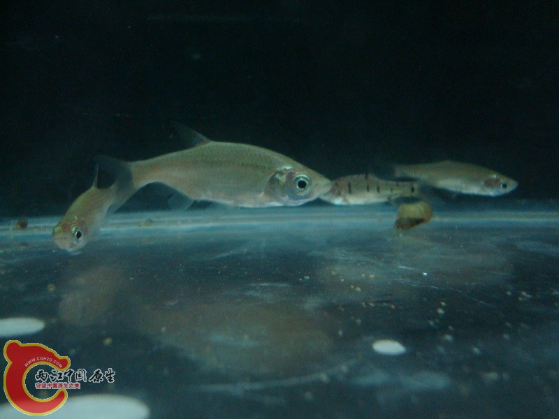DSC05377_调整大小.JPG