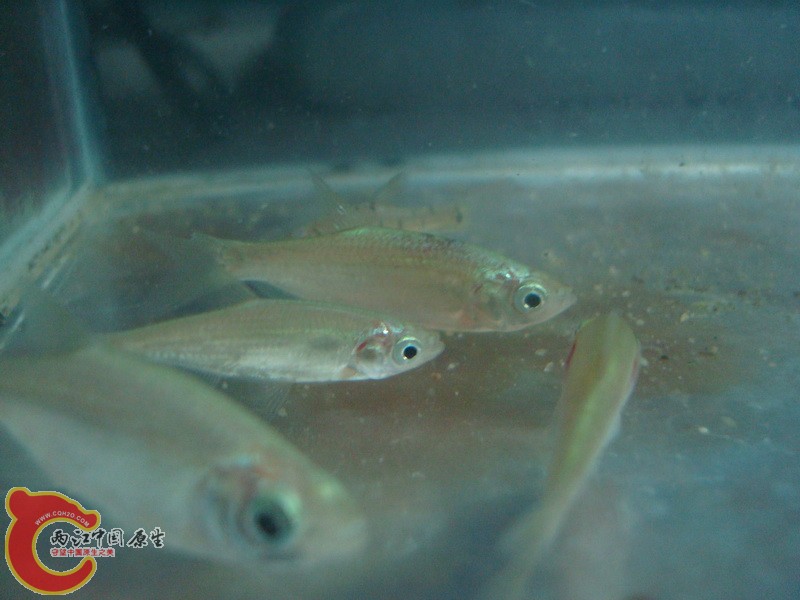 DSC05408_调整大小.JPG
