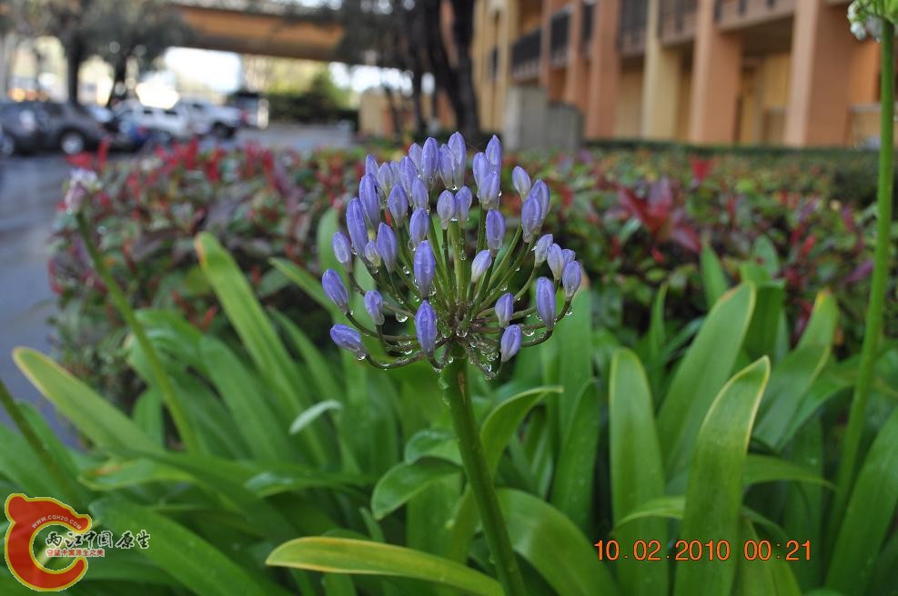 DSC_0161.JPG