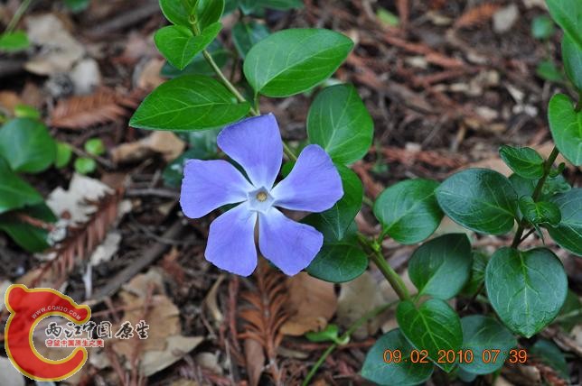 DSC_0122.JPG