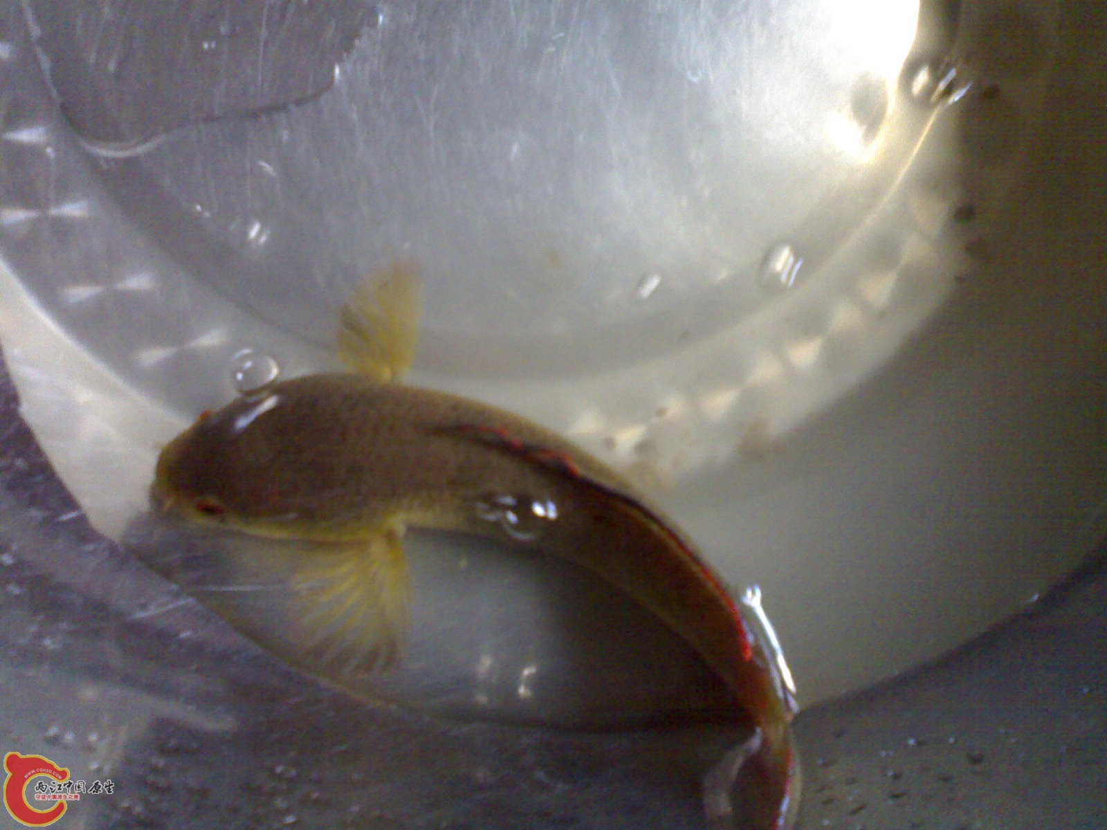 201007151248.jpg