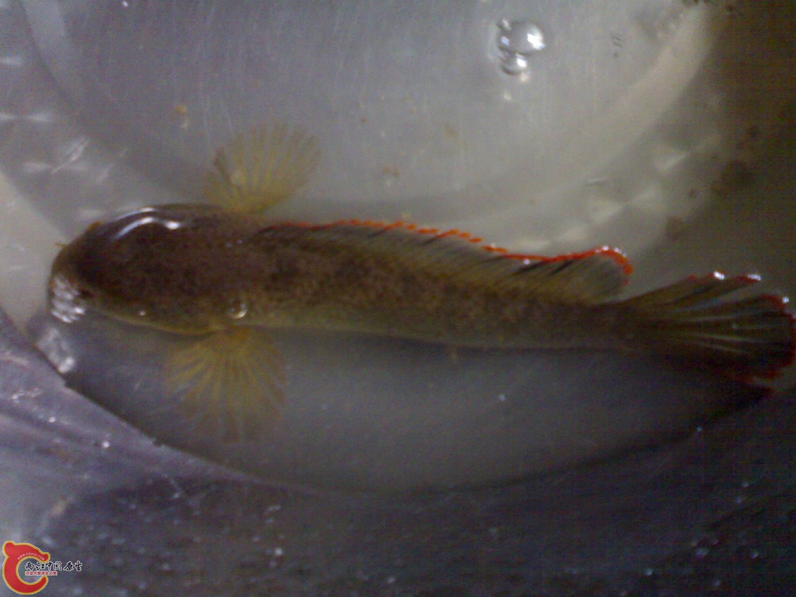 201007151250.jpg