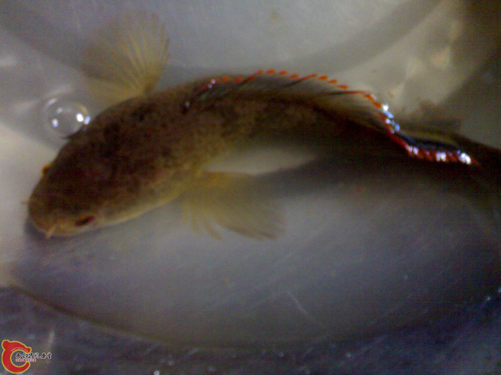 201007151249.jpg