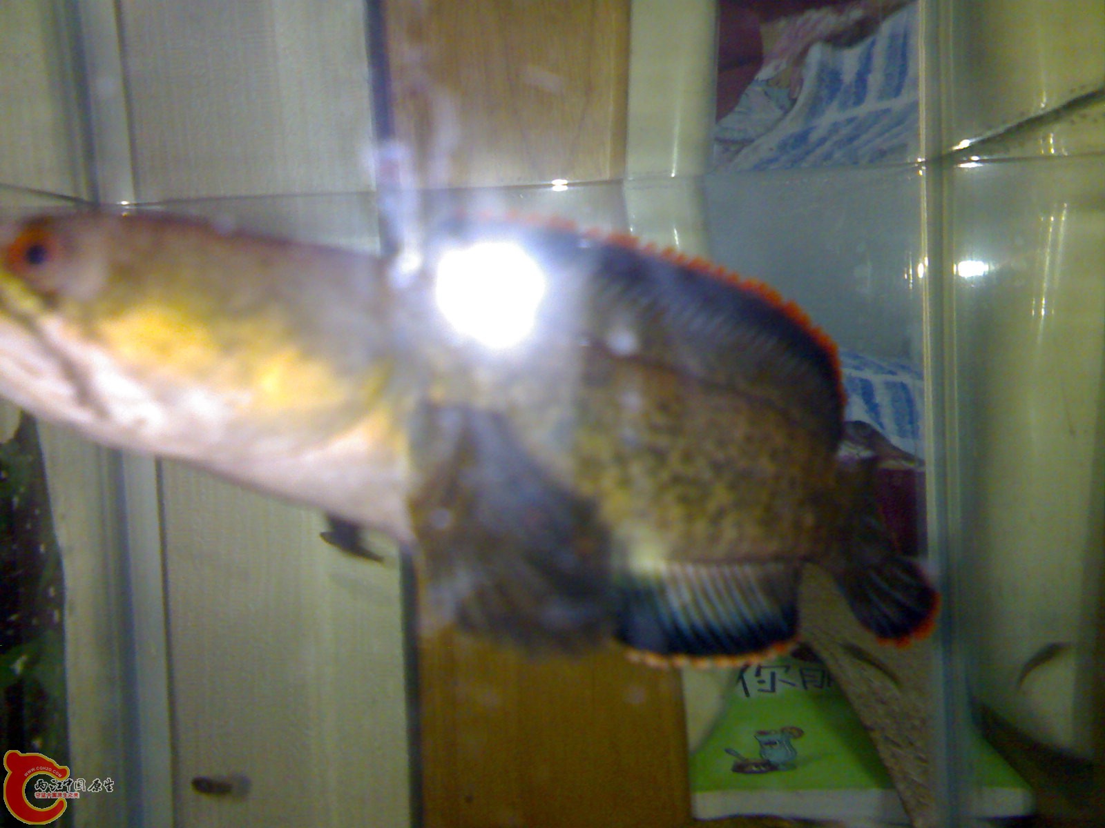 201007151256.jpg