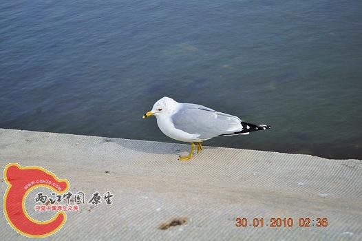 DSC_0677.JPG